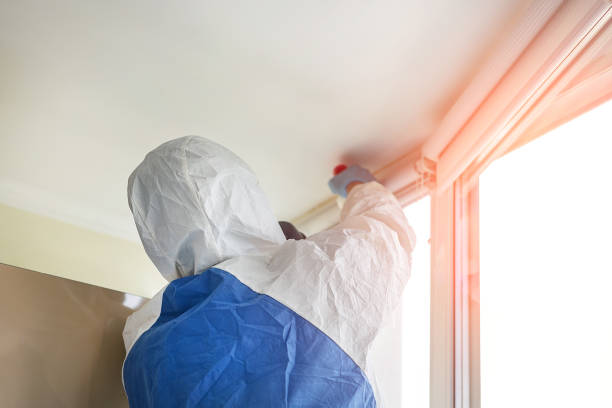 Best Forensic Mold Investigation  in Crivitz, WI